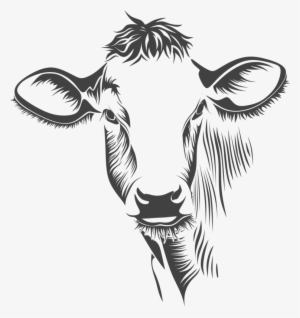 Free Cow Clipart Black And White Images Download【2018】 - Cow Head Line Art #504709