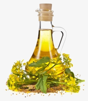Wintergreen Oil - Mustard Oil #504801