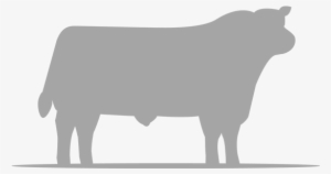 Clipart Library Library Angus Cow Clipart - Cattle #504869