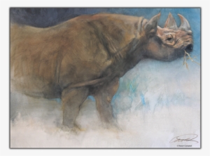 Black Rhino Print - Sumatran Rhinoceros #505616