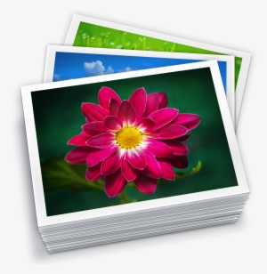 Imagegallery - Iphoto #505621