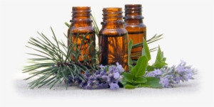 A Certified Aromatherapist Can Educate You On How To - Aromatherapy Png #505641
