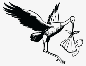 Free Clipart Of A Stork And Baby - Black And White Stork With Baby #505818