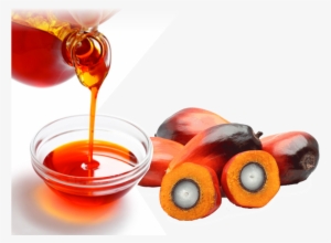Home/vegetable Oils/rdb Palm Oil - Palm Oil Images Transparent #506283