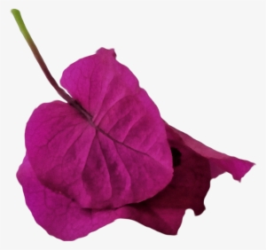 Burgi 1 Weich Watercolor - Watercolor Painting #506876