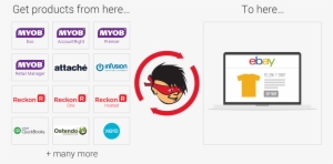 Myob #507210