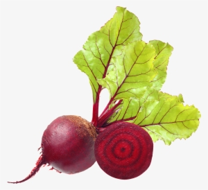Beet Png #508059