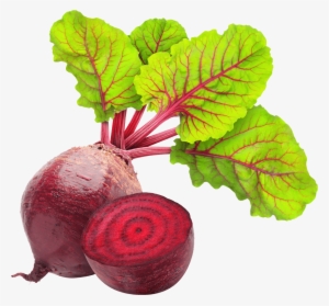 Beetroot #508081