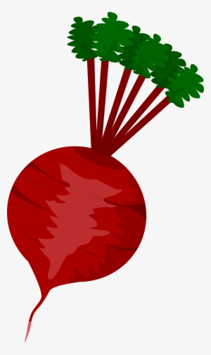 This Free Icons Png Design Of Beet #508105