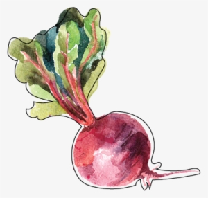 After Successful Payment You Will Receive An Email - Panen Hidroponik Buah & Sayuran Buah Di Halaman #508132