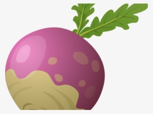 Beet Clipart Rutabaga - Rutabaga Clipart #508634