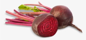 Beetroot - Imagenes De Remolacha Png #509422