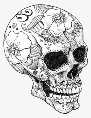 Vector Library Library Cool Art Skeletons And Spell - Adult Coloring Pages Skull #509690