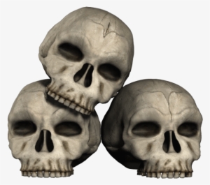 Skull - Transparent Skulls #509872