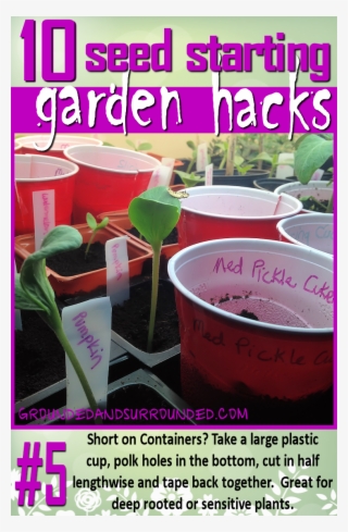 If You Are Short On Containers For Your Transplants, - Name The Seeds You Planted In The Eggshell #5000401 If You Are Short On Containers For Your Transplants, - Name The Seeds You Planted In The Eggshell #5000401