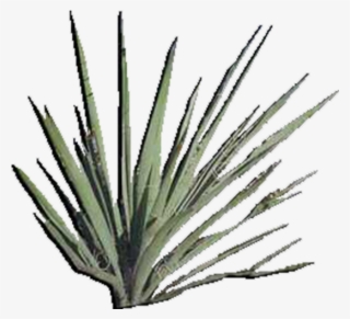 View In My Picture - Product #5000665