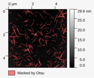 Thank You For The Raw Data - Triangle #5002196