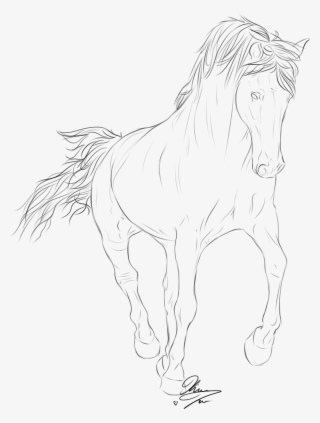 Relevant Images For Native American Arrow Drawing - Rocky Mountain Horse Drawing #5002926