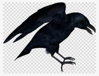 American Crow Clipart American Crow New Caledonian - Red White Circle Abstract #5003067