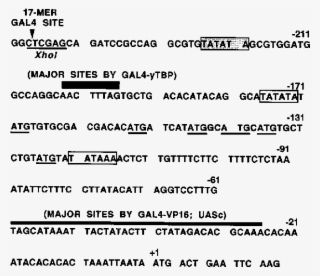 Sequence Of The Cyc1 Promoter Region And Summary Of - Number #5003134