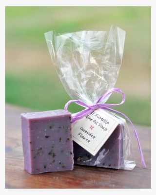 Olive Oil Soap And Hand Cream - Olive Oil #5003269