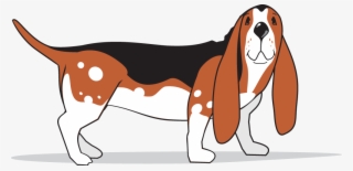 Elvis Rain - Dog #5005139