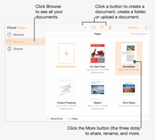 The Document Manager In Browse View - Document #5008155