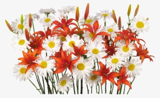 Flores Png, Renders De Flores, - Flower #5009804