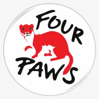 Four Paws - Home - Four Paws International Logo #5011126
