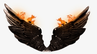 Stock Images From The Link Given Below But Before Downloading - Portable Network Graphics #5011969