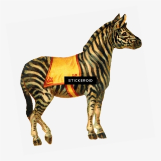 Dita Von Teese Zebra Dress - Natasha Westcoat Canvas Wall Art - Circ Iv #5012369