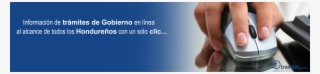Online #5013824