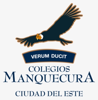 Comunicado Normativa Uso De Redes Sociales Para Apoderados - British Camp #5013876