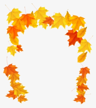 Желтые Листья Без Фона #5013937