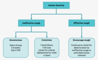 If Effective Breathing Commences, Place In The Recovery - Choking Management #5015483