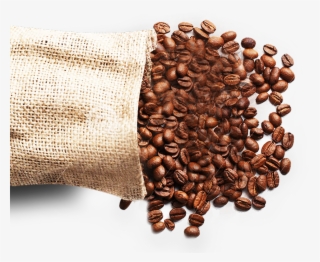 Feel Good About Using A Single Serve Cup That Is 100% - Kona Coffee #5015923