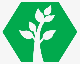 Benefits Icon Green - Icon Benefits #5018651