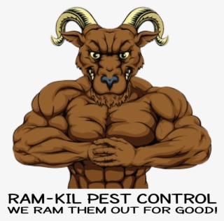 305047 Ramkil Trans1 101518 - Muscular Boar #5018958