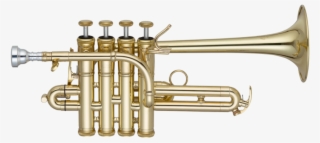 Trumpet #5019012