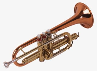 Trumpet #5019072