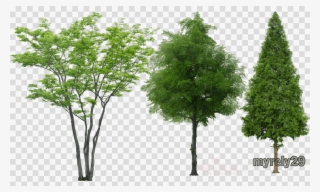 Arboles Photoshop Sin Fondo Clipart Tree - Low Poly Tree Vray #5021176