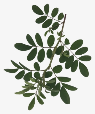 Images In Photoshop, Then Made Them Move In After Effects - Portable Network Graphics #5021292