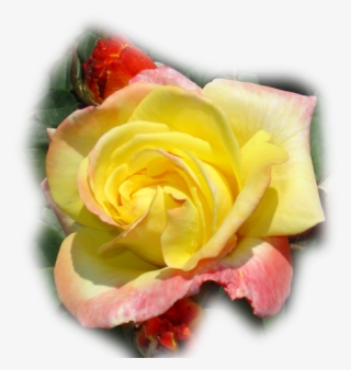 Paisajes Y Flores Png - Portable Network Graphics #5022047