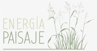 Logo - Illustration #5022398