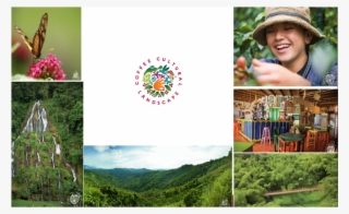 Paisaje Cultural Cafetero, Un Café Excepcional En El - Collage #5022601