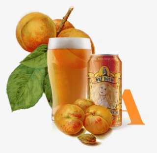 Crushed Beer Can Png #5023066