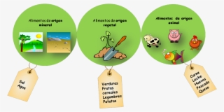 Alimentos Vegetal Animal Mineral #5023473