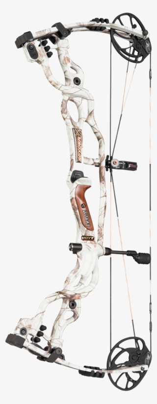 Hoyt Carbon Spyder Zt - Hoyt Z34 Carbon Spyder #5023860