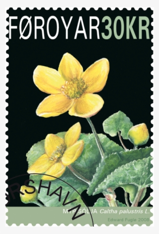 Flor Nacional De Las Islas Feroe - Old Hanse-harbour #5026588