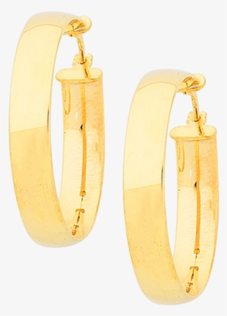 Earrings #5027021